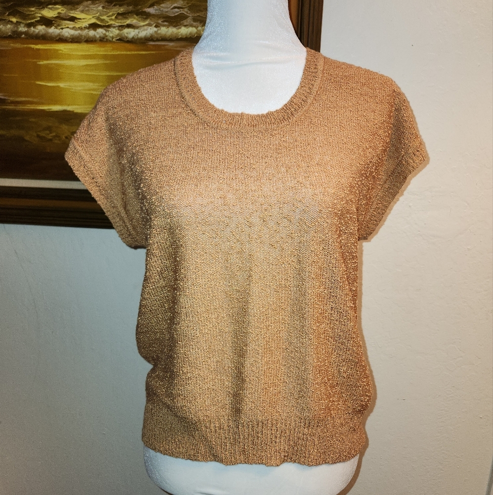 Vintage 1960's Brown Acrylic Sleeveless Sweater by LeRoy Knitwear